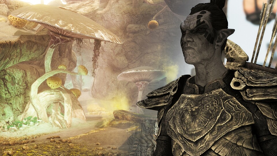 Von Morrowind bis Schwarzwarsch: In unserer großen Titelstory erfahrt ihr die wichtigsten Details zu allen sieben Gebieten von Beyond Skyrim.