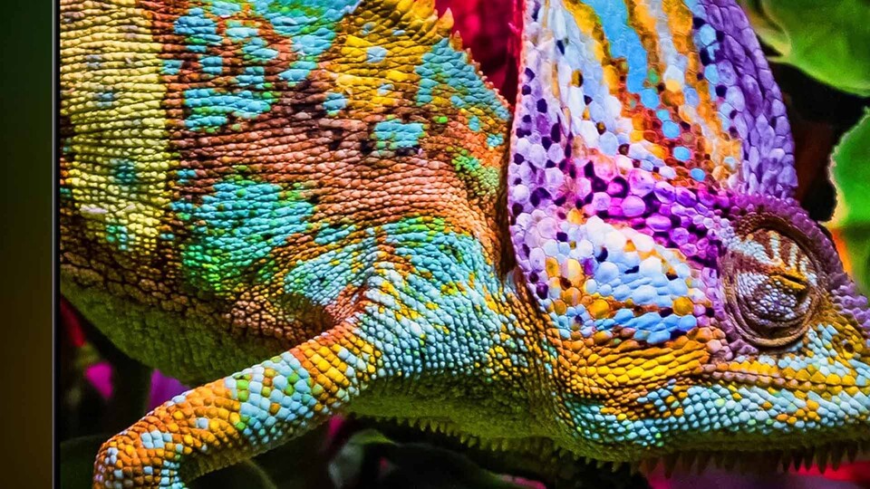 Da bleibt kein Auge trocken: QLED sorgt im Zusammenspiel mit den Mini-LEDs für besonders kräftige, lebendige Farben und strahlende Helligkeit.