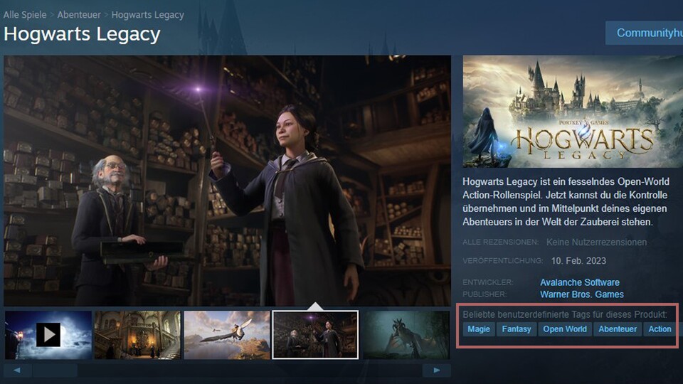 Tags auf Steam sollen das Spiel einordnen - und wurden von protestierenden Usern missbraucht.