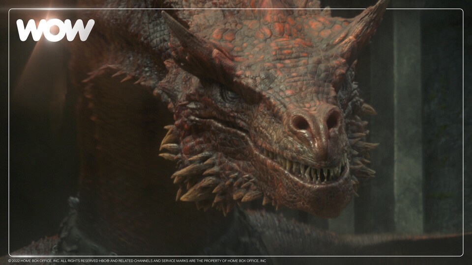 In Season 2 werdet ihr noch viel mehr Drachen in Aktion erleben!