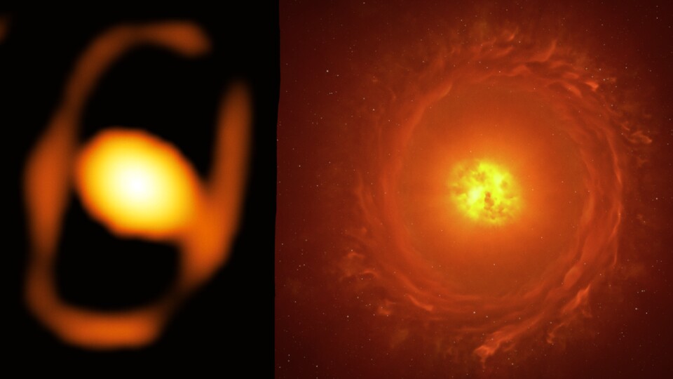 Links ein Bild, das von dem Stern mittels zusammengeschalteten Bodenteleskope aufgenommen worden ist. Rechts seht ihr die Umsetzung der Aufnahme durch die Hand eines Künstlers, wie es aussehen könnte. Die Schleier ist die fortgeschleuderte Materie.
(Bildquelle: ESOK. Ohnaka et al., L. Calçada)