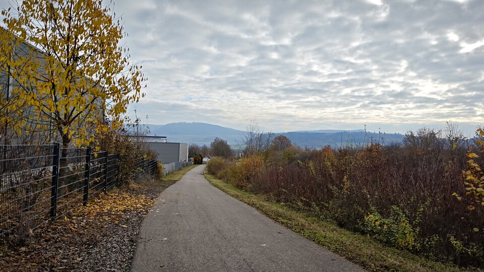 Das Bergablaufen hat das Gerät automatisch erkannt. Laut der App werden Stöße dann etwas besser abgefedert, um die Gelenke zu schonen. In der Praxis habe ich jedoch kaum einen Unterschied bemerkt. (Bildquelle: Duy Linh DinhGameStar Tech)