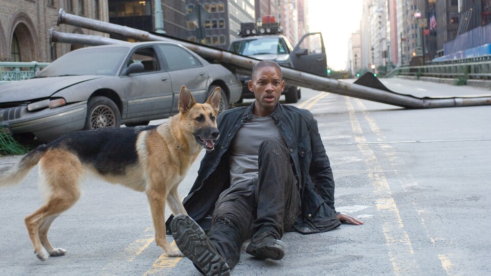 Robert Neville (Will Smith) und Sam (Abbey) im Kinofilm I Am Legend von 2007. Bildquelle: Warner Bros.
