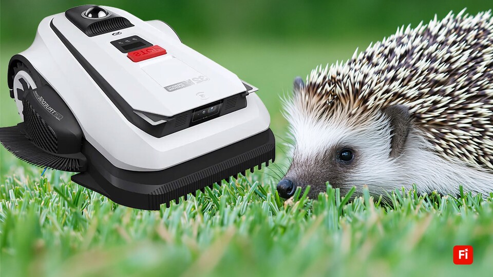 Welche Gefahren muss man bei Mährobotern kennen? (Titelbild Igel KI-generiert mit Adobe Firefly)