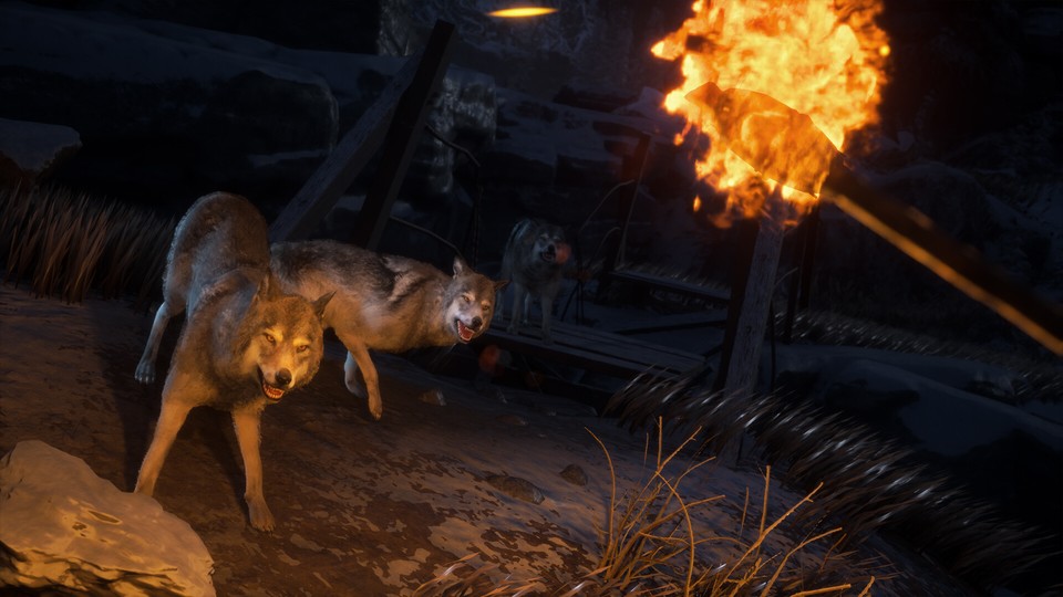 In Winter Survival müsst ihr in einer eisigen Wildnis voller Wölfe und Bären überleben