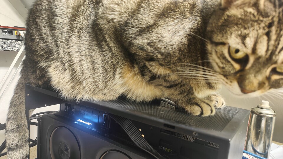 Meine Katze liebt den Platz oben auf dem PC, da ist es schön warm. Wenn die Katze könnte, würde sie aber eine GPU anschaffen, die mehr Abwärme erzeugt: Intels ARC ist recht sparsam.