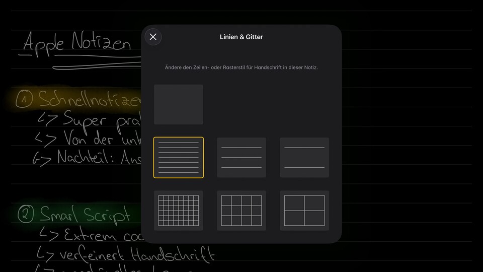 Beim Schreiben mit dem Apple Pencil sind die Linien nahezu Pflicht.