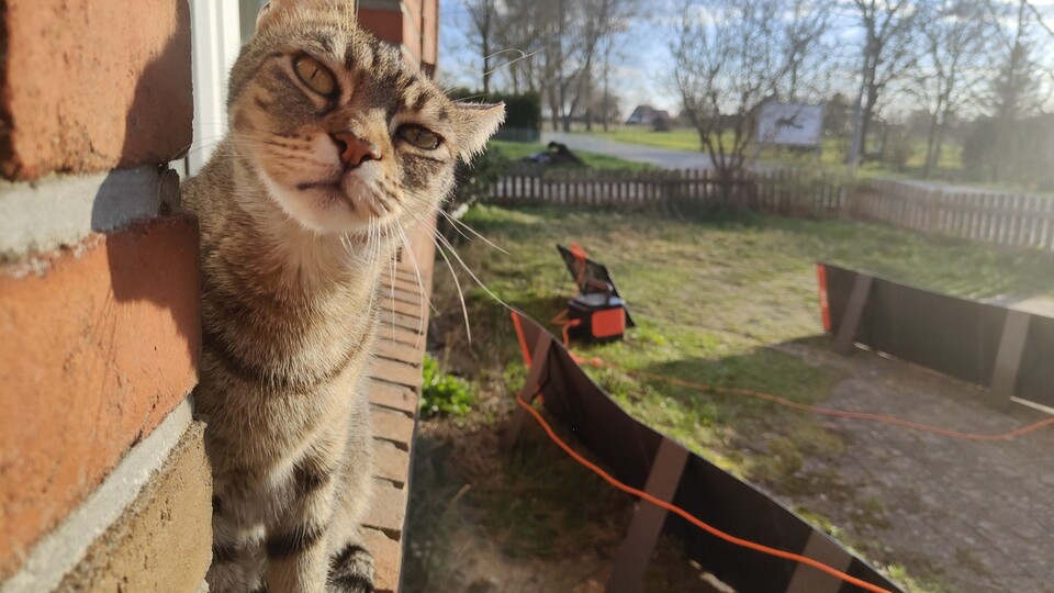 Katze gibt ihr OK: Ihr sommerlicher Lieblingsplatz ist üblicherweise hinter den Solarmodulen. Davor wird sie auch immer weggescheucht - Schatten senken den Stromertrag.