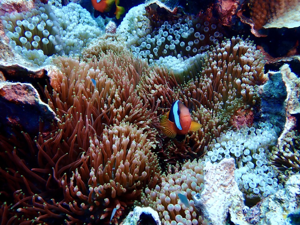 Ein Zuhause für die Kleinsten