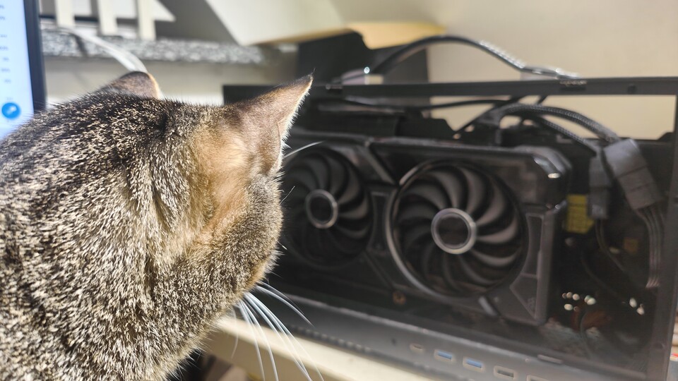 If I had bought the cat better food, maybe it wouldn't be staring at the graphics card so hungrily, or what do you think? What am I writing, she's getting good food, what's the point? Don't eat the Geforce!