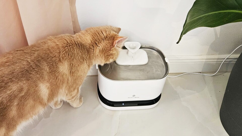 Es liegt in der Natur der Katzen, dass sie nur aus fließenden Wasserquellen trinken. Dieser Brunnen spielt sogar mit dem Wasserfluss und das liebt mein Kater.