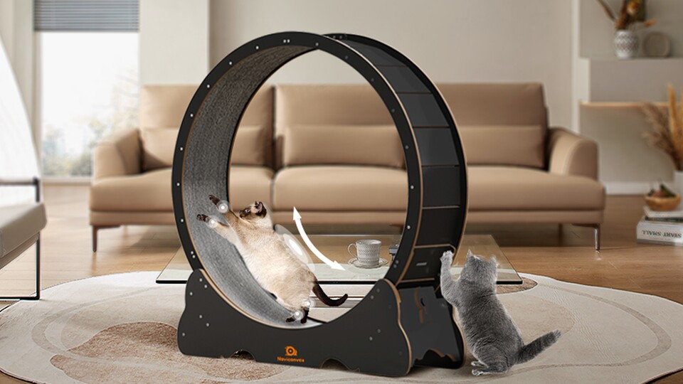 Stabilität, Bewegungsfreiheit und jede Menge Fläche zum Kratzen: Das Katzenlaufrad ist ein Top-Allrounder für eure flauschigen Fellknäuel!