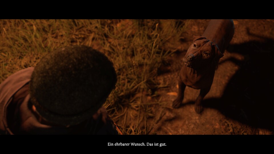 Der sprechende Hund hat einen guten Rat für Heinrich.