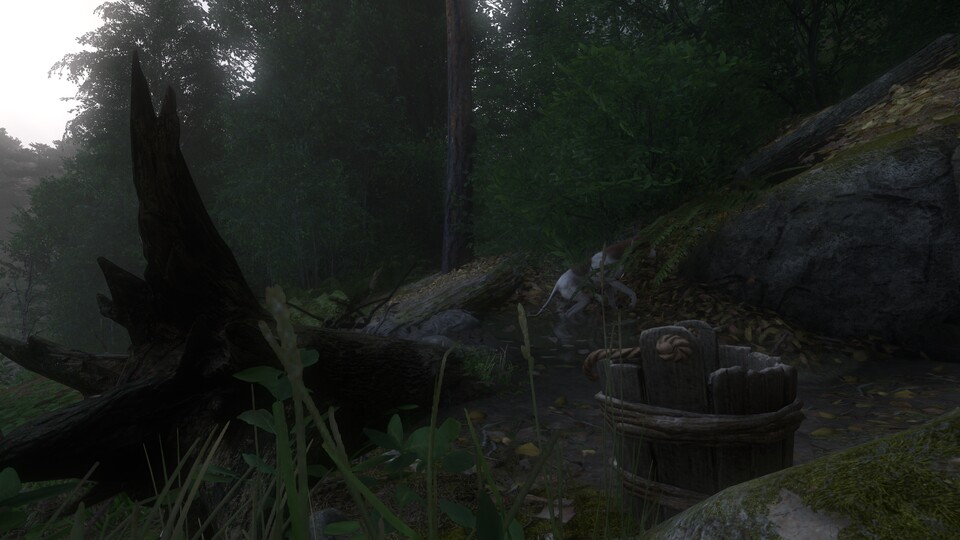 Den Brief des Woiwoden findet ihr im Baum (Mitte) neben der Bachquelle.