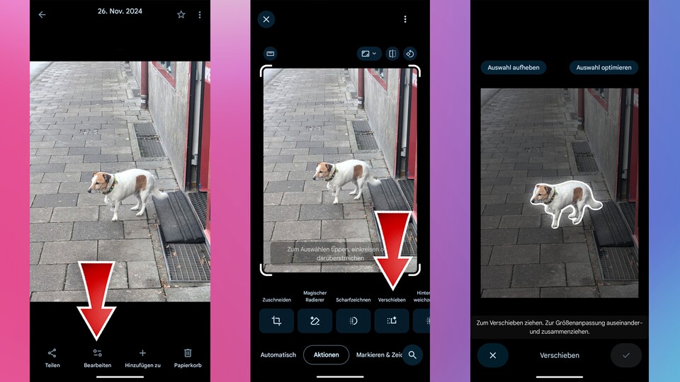 Google Fotos erkennt den eingekreisten Hund präzise, der dann frei im Bild herumgeschoben werden kann.