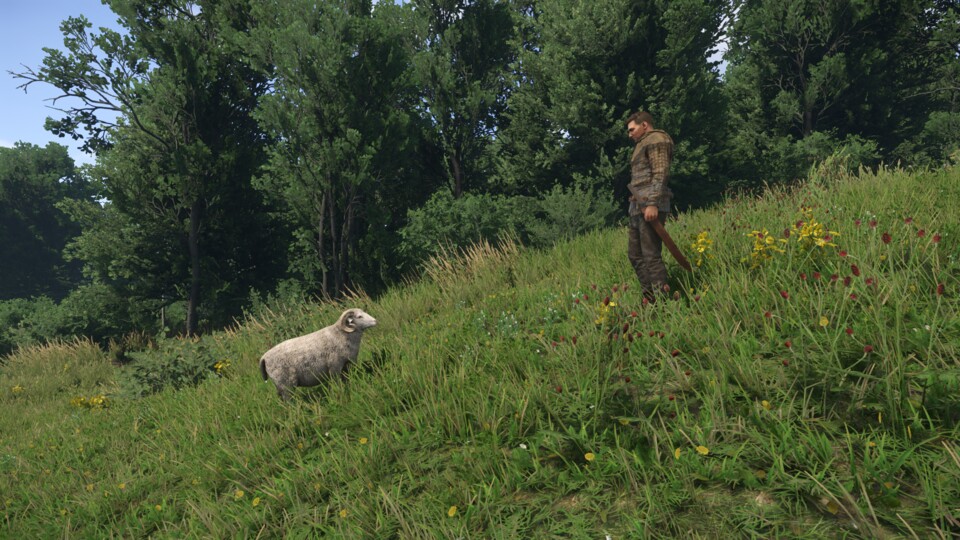 Der arme Ignatius steht euch als Köder zur Verfügung, solange ihr ihm eine Karotte versprecht.