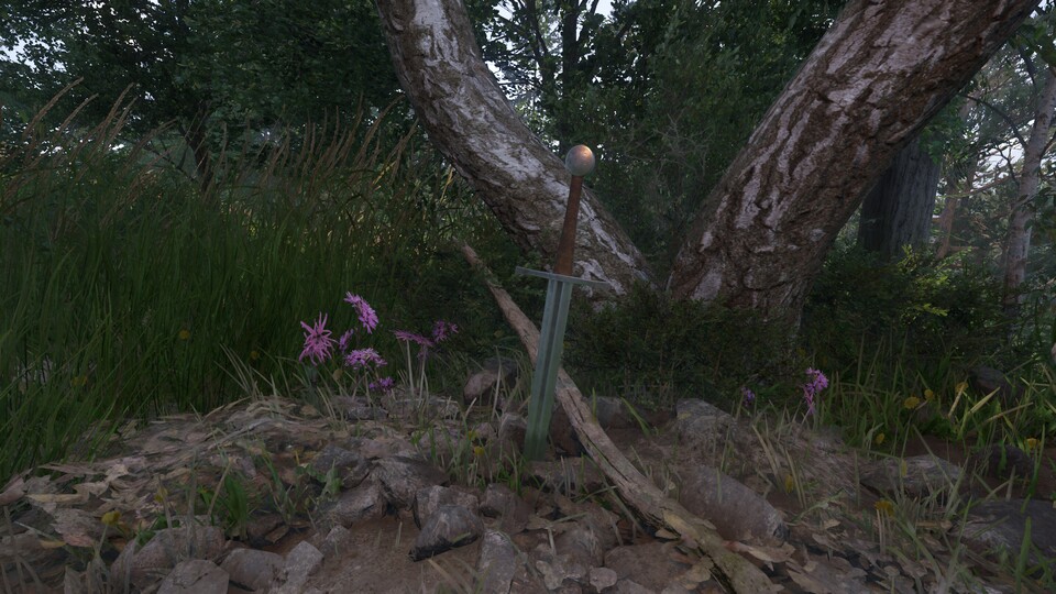 Das rostfreie Qualitätsschwert findet sich mitten im Nirgendwo an einem Namenlosen Grab.