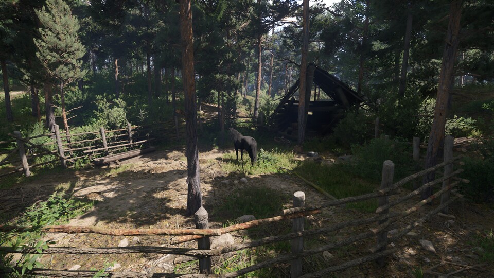 Ein schwarzes Pferd mitten im Wald – ein wichtiger Beweis, dass etwas mit Konrad nicht stimmt.