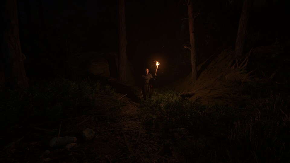 Im nächtlichen Wald sieht man abseits des Fackelscheins kaum die Hand vor Augen? Auch das ist ein Beispiel für die spielerisch nicht immer ganz bequeme Herangehensweise der Warhorse Studios in Kingdom Come 2.