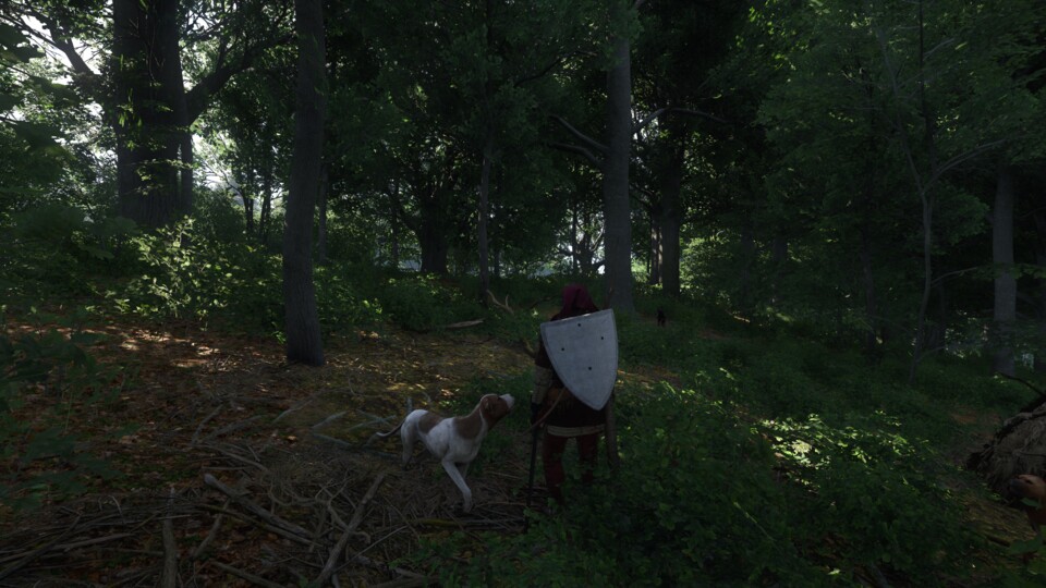 Ja, genau wie sein Vorgänger kann auch Kingdom Come 2 Wälder wie kaum ein anderes Spiel, aber längst nicht nur das.