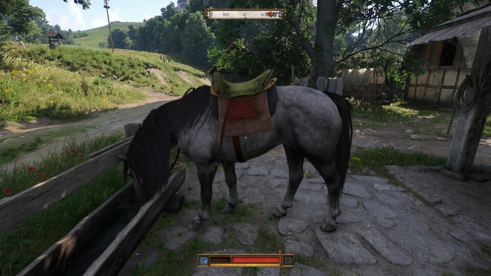 Hat es jemals ein braveres Pferd gegeben als Pebbles? Vermutlich nicht.