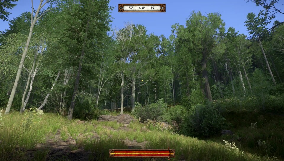 In der Redaktion haben wir 2015 ganz schön über die naturnahen Wälder gestaunt.