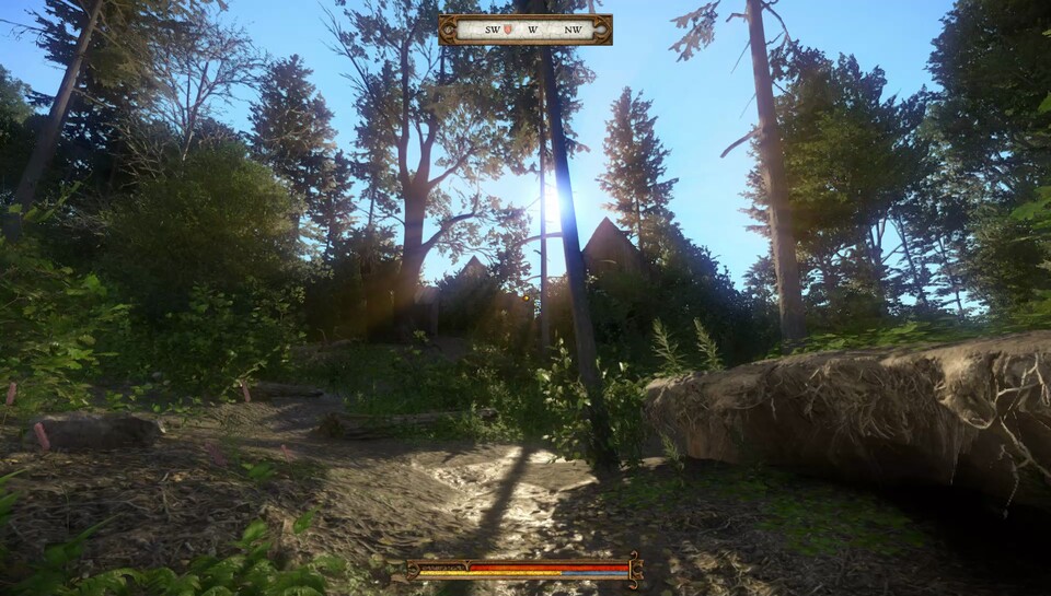 Die Wälder von Kingdom Come sind das optische Highlight des Spiels.