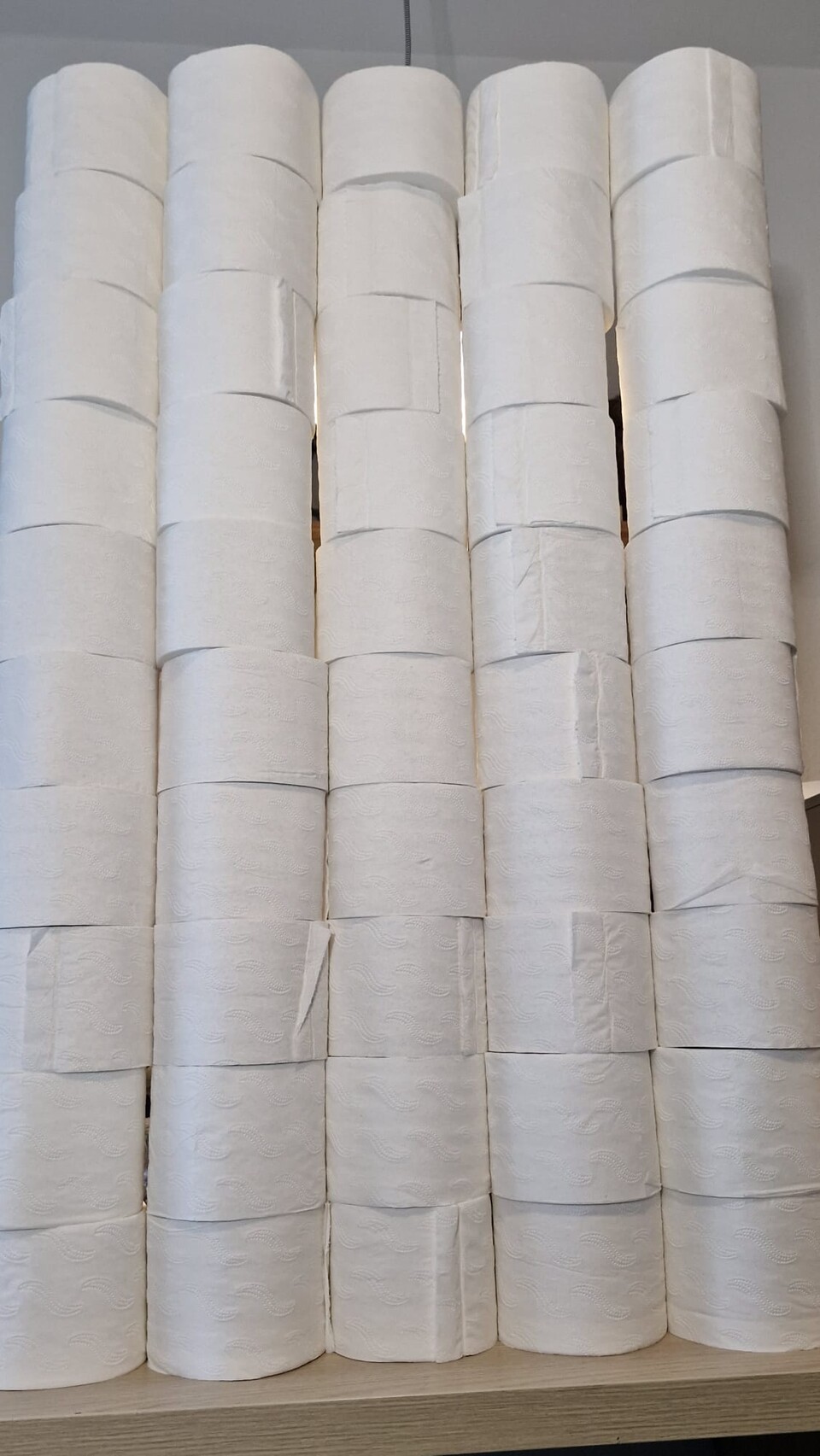 Hätte ich gewusst, wie nervig es wird, das Klopapier wieder in Verpackung zurückzustecken, hätte ich womöglich auf das Bild verzichtet. Foto: T. Gudenrath.