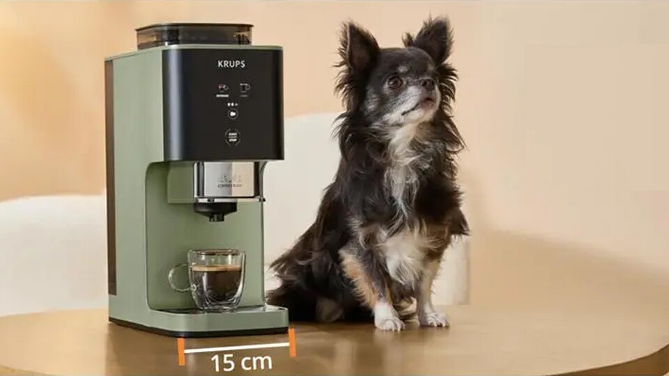 Sogar winzige Hunde sehen neben dieser Kaffeemaschine groß aus.