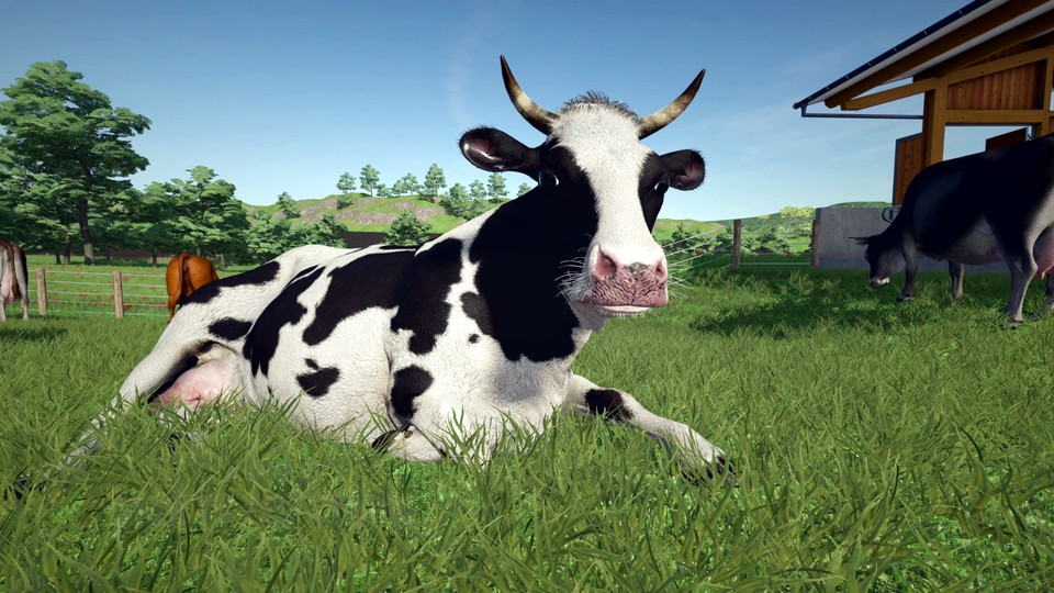 Landwirtschafts-Simulator 22 - Im neuen Trailer seht ihr, welche Tiere euch erwarten