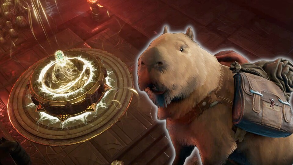 Die Capybara gibt beim Kauf eines der Unterstützerpakete als Haustier in der letzten Epoche.