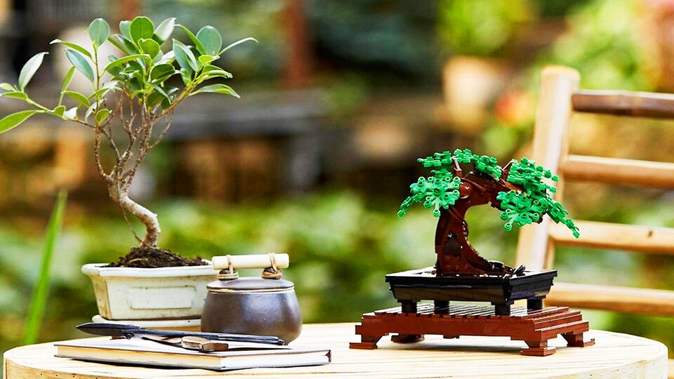 Der LEGO Bonsai strahlt Ruhe und Gelassenheit aus und begrünt euer Zimmer auch dann, wenn ihr nur wenig Platz für Ausstellungsstücke habt.