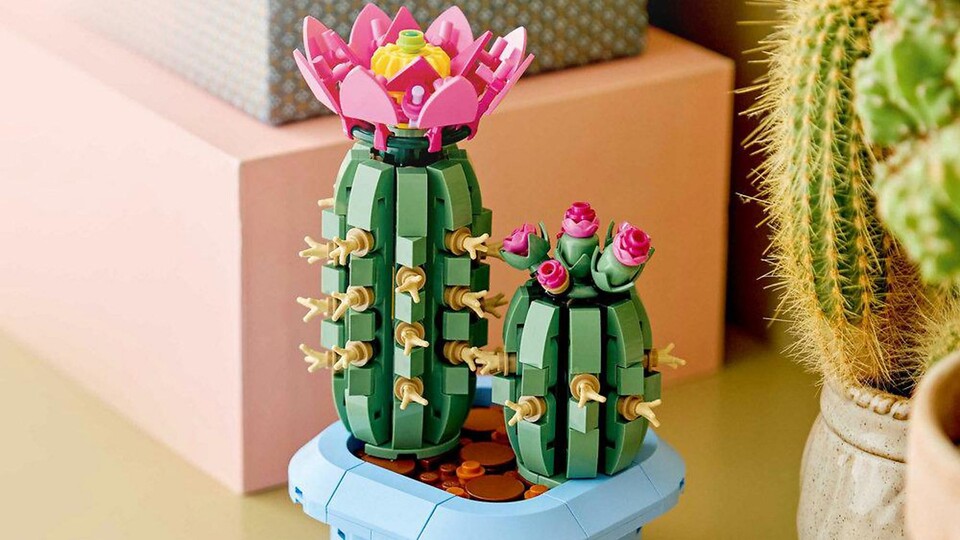 Die LEGO Kakteen kommen dem Original wirklich erstaunlich nah – aber sie präsentieren ihre Blütenpracht deutlich länger.