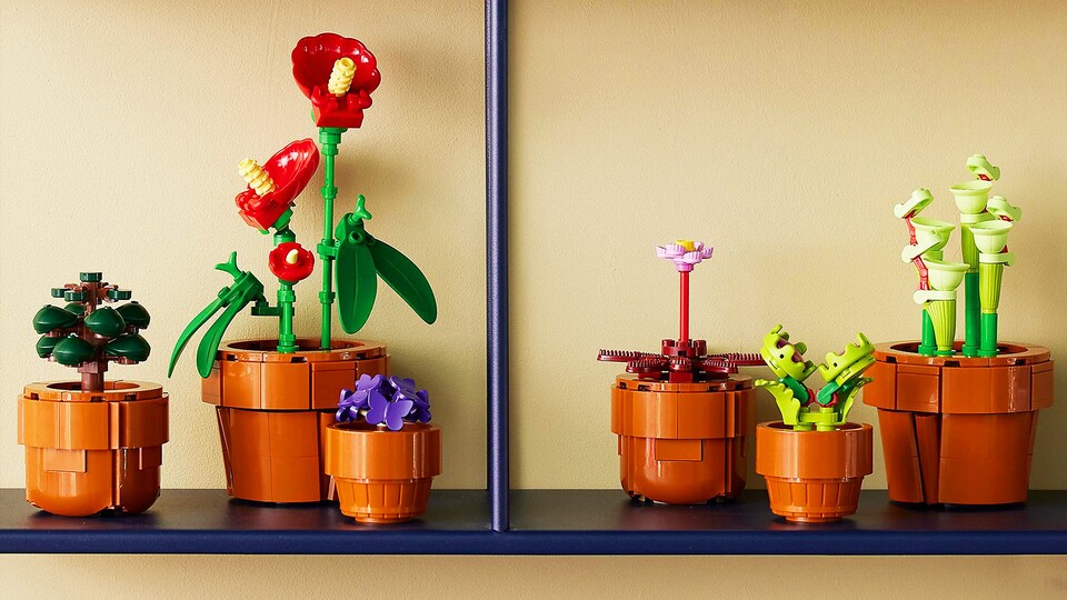 Wenn ihr euch nicht entscheiden könnt, dann sind die Mini-Pflanzen genau das richtige für euch – hier ist einfach von allem etwas dabei.