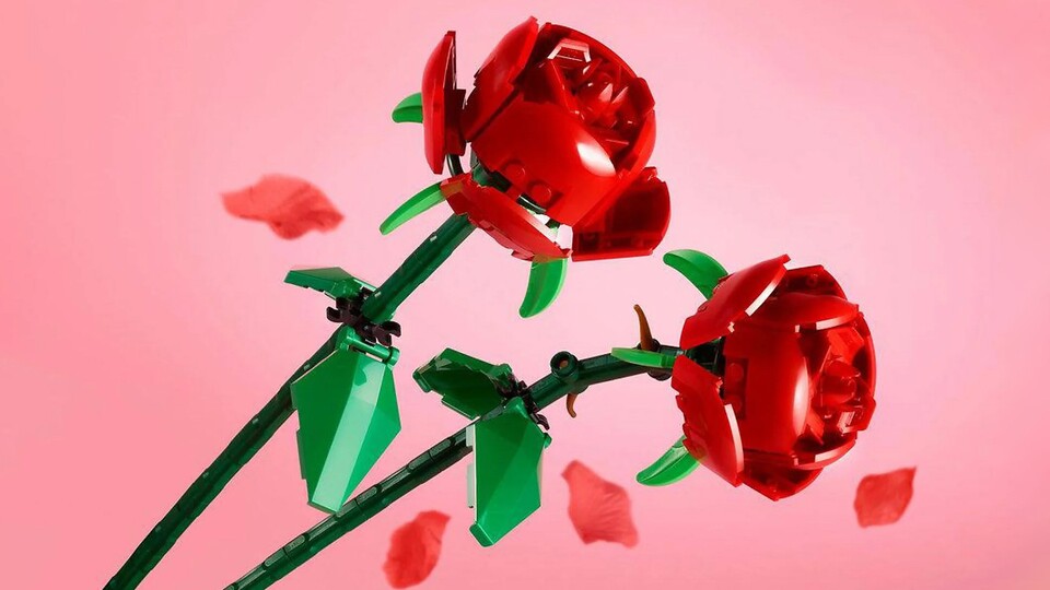 Die Rosen sind jetzt kurz vor Valentinstag natürlich sehr beliebt. Noch bekommt ihr sie reduziert im MediaMarkt-Angebot.