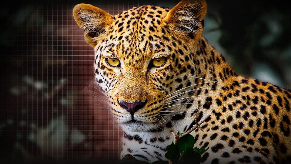 Dolby Vision + Dolby Atmos liefern euch Kinoqualität direkt auf die heimische Couch.