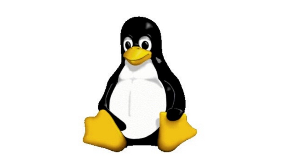 Linus Torvalds will weitere 25 Jahre dafür sorgen, dass Linux eine Erfolg auf dem Desktop wird.