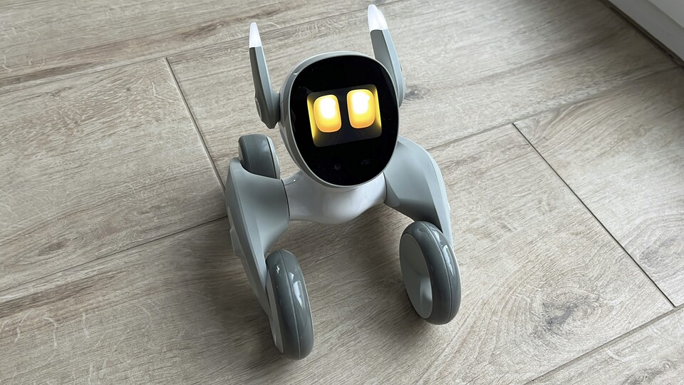 Loona hört nur zu, wenn ihr Gesicht an den Seiten gelb leichtet.