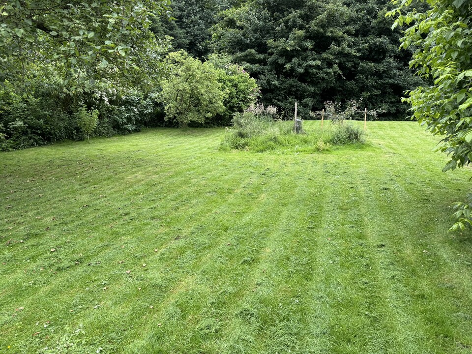 In Gärten mit Bäumen und Blumenwiesen benötigen Mähroboter mehr Zeit, denn sie müssen um die Hindernisse herum navigieren.