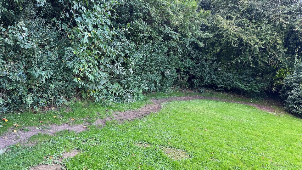 Die Mähgrenze am Waldrand zeigt deutlich, wo der Luba 3 dreht.
