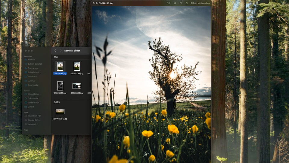 Nehmt ihr mit einer herkömmlichen Kamera Fotos auf und möchtet eure Bilder anschließend am Mac durchsuchen, gibt es kaum eine bessere Funktion.