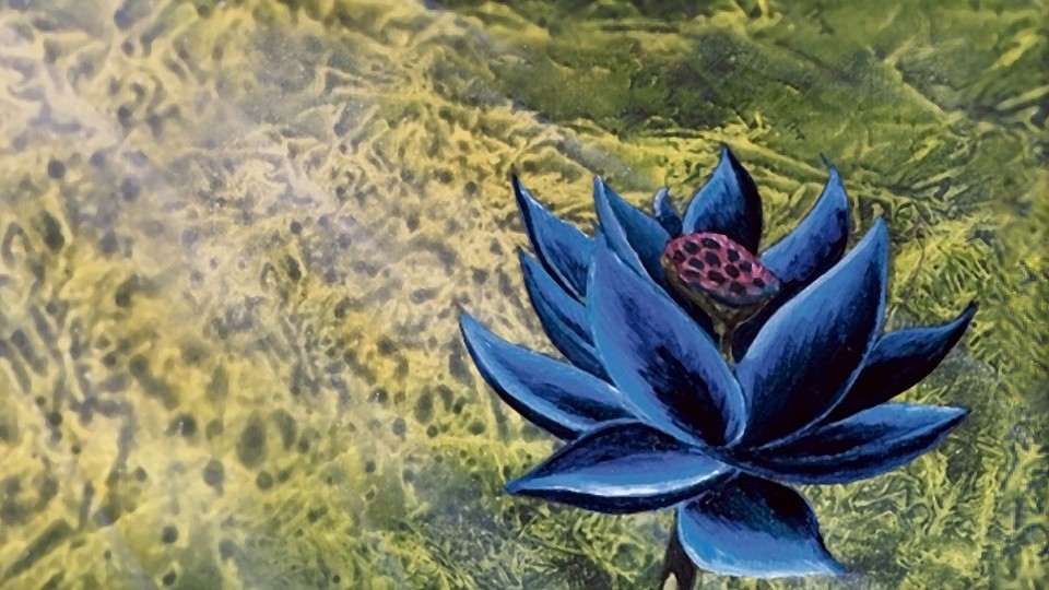 Der schwarze Lotus ist nicht nur jede Menge Mana wert, sondern auch jede Menge Geld. (Bild: Christopher Rush, Wizards of the Coast)