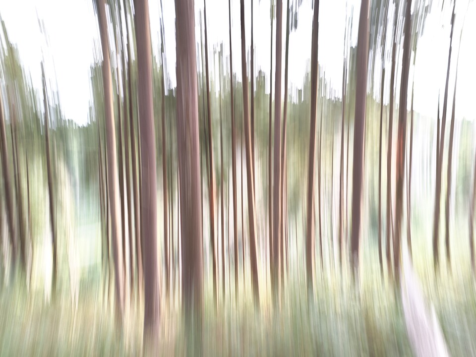 Der Pro-Modus gibt euch mehr Kontrolle. So könnt ihr beispielsweise die Belichtungszeit steuern.