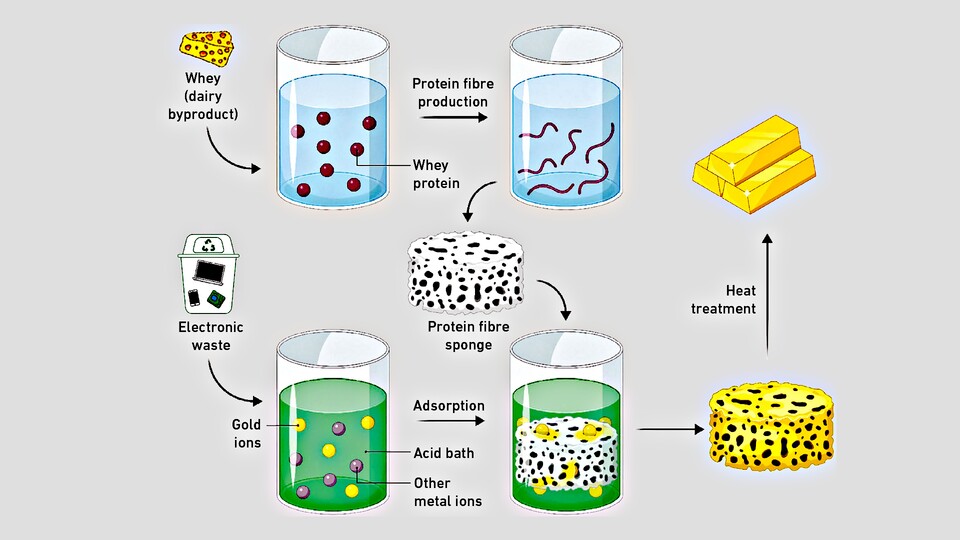 Der Ablauf bei der Methode der Gold-Extrahierung aus Elektroschrott. (Bild: ETH Zürich)