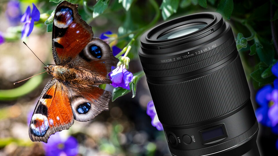 Seit knapp einem Jahr nutze ich ein Makroobjektiv für meine Nikon. Kaum eine andere Anschaffung hat sich für mich mehr gelohnt.