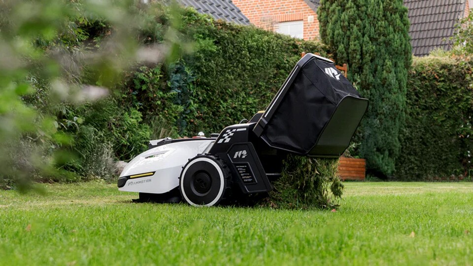 Foliage has no chance