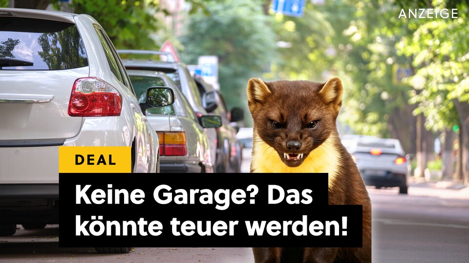 Ich stand jetzt zwei Wochen lang ohne Auto da und durfte auch noch ein paarhundert Euro berappen. Für ein paar Euro erspart ihr euch das.