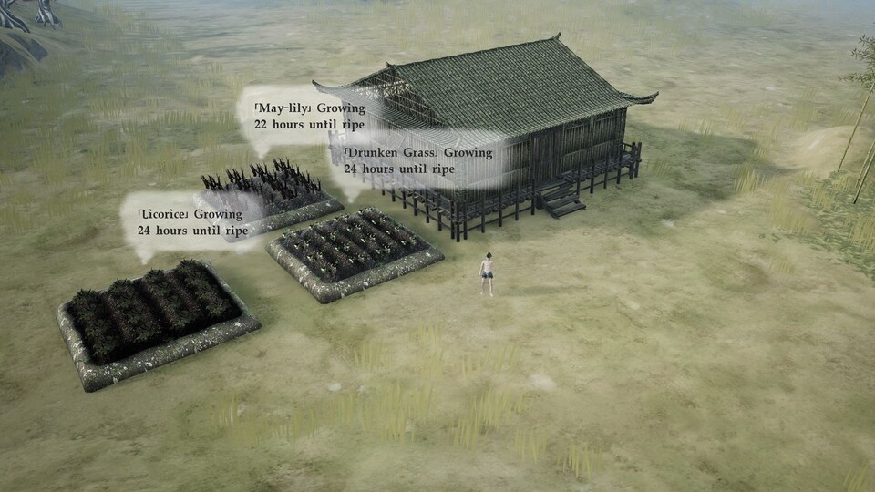 Häuser und ganze Städte können frei in der Spielwelt gebaut werden.