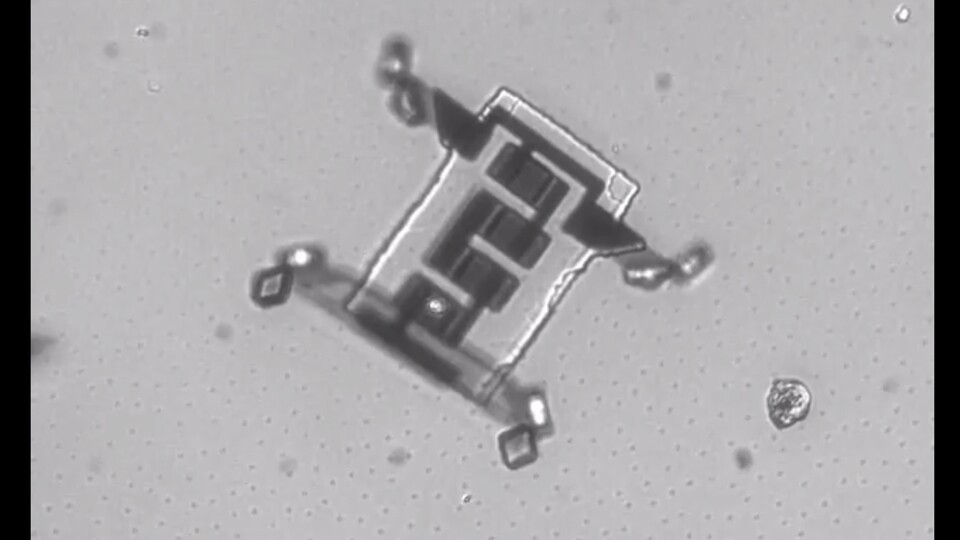 Ein Microroboter, der sich auf Beinen aus Platin und Titan fortbewegt und von Laser-Licht angetrieben wird.