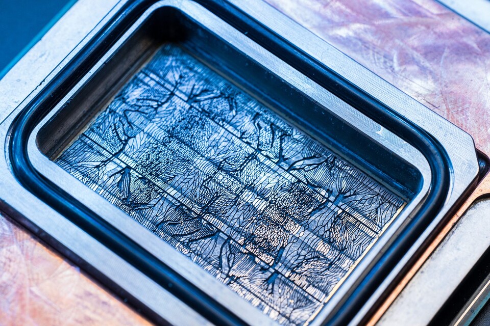 Die feinen Linien, die das Silizium eines Chips durchziehen, werden von Kühlflüssigkeit durchflossen. (Quelle: Microsoft)